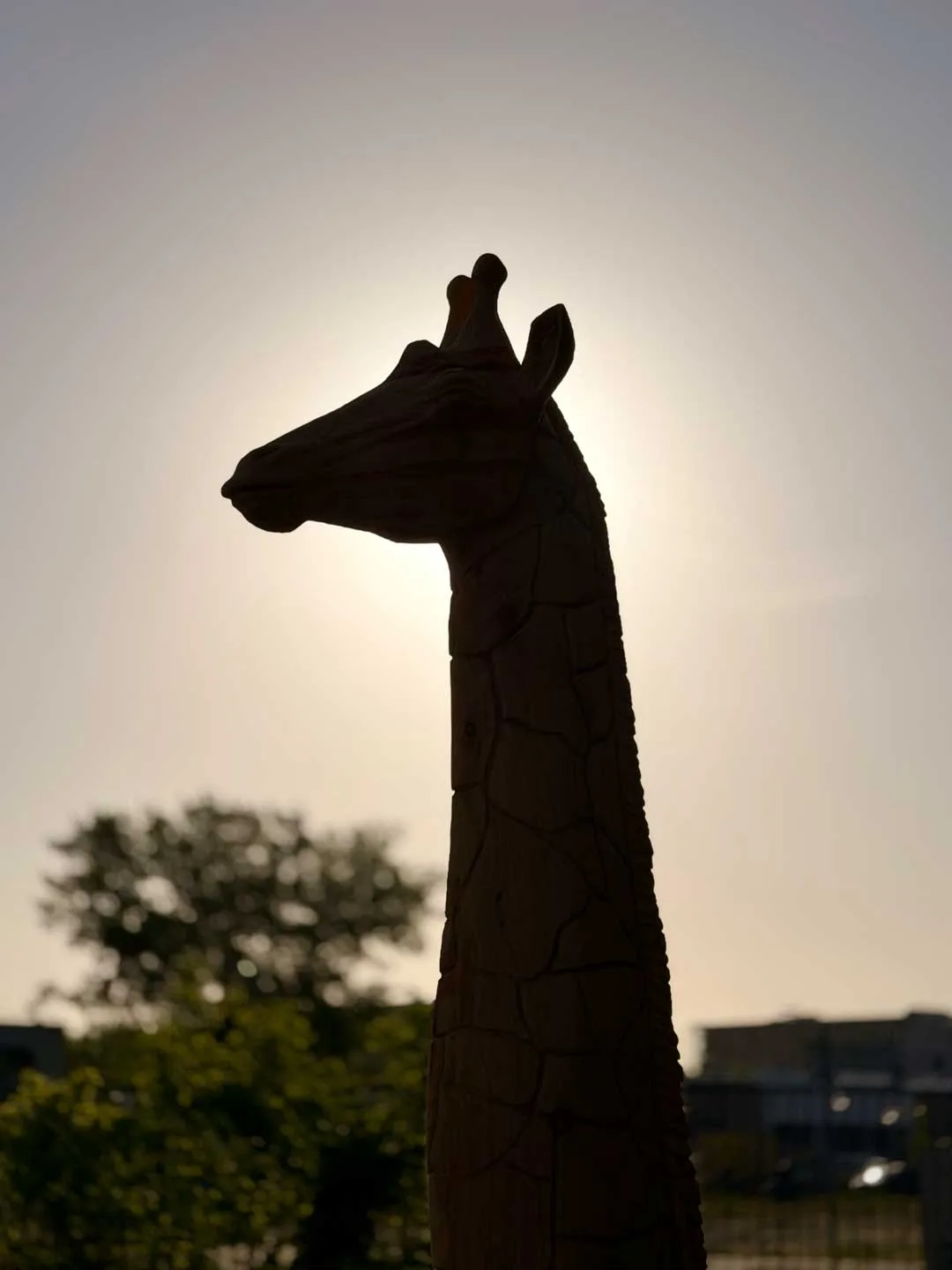 Giraffe bij Backlight.ai voordeur